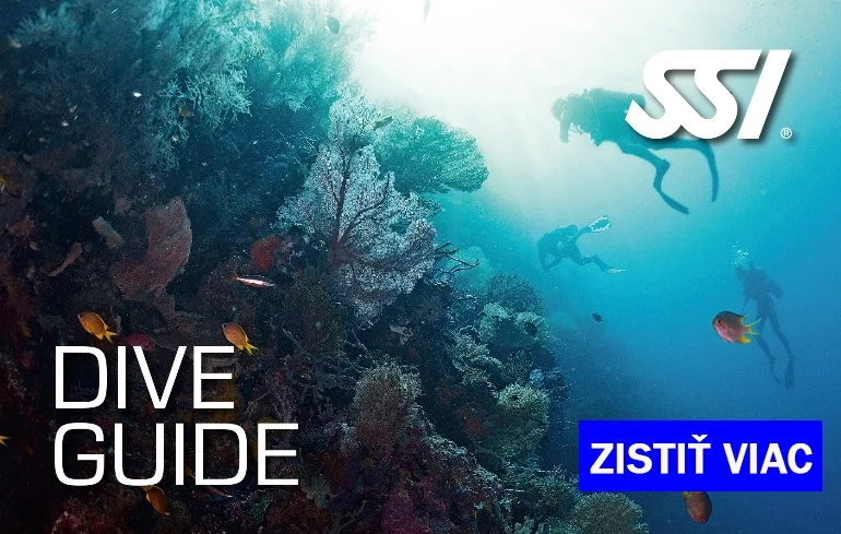 potapanie Dive guide