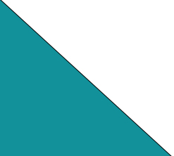 petrol/biela