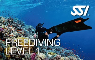 Kurz Basic Freediving
