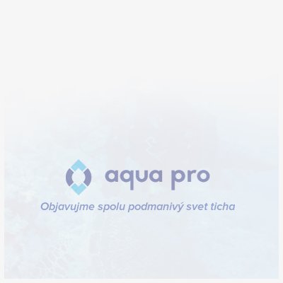 Botičkové plutvy na potápanie AVANTI HC PRO